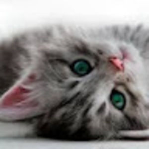 Meet your Posher, Caroline